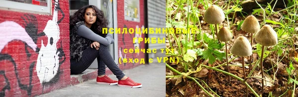 гидропоника Балахна