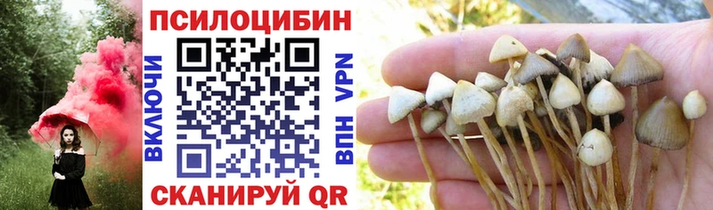 Псилоцибиновые грибы GOLDEN TEACHER  Дзержинск 