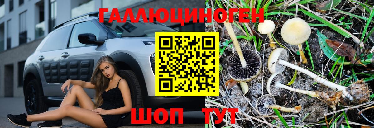 Псилоцибиновые грибы мухоморы Дзержинск
