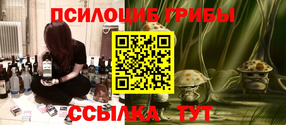 даркнет сайт  Дзержинск  Галлюциногенные грибы ЛСД  Псилоцибиновые грибы GOLDEN TEACHER 